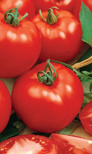 Томат_Титаник F1_12_шт._Уральский Дачник