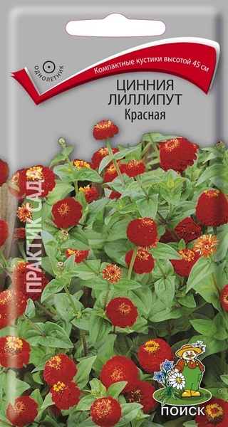 Цинния_Лилипут Красная_0,4_г._Поиск