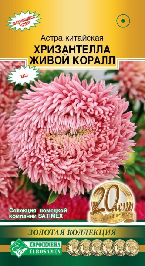 Астра_Хризантелла Живой Коралл (Золотая Коллекция)_5_шт._ЕВРОСЕМЕНА