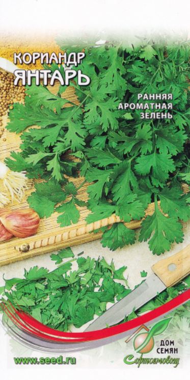 Кориандр (кинза)_Янтарь_0,04_шт._Дом Семян С-П