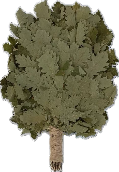 Веник дубовый БОГАТЫРЬ+ручка джут