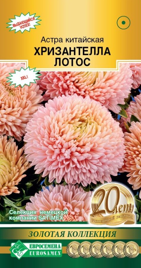 Астра_Хризантелла Лотос (Золотая Коллекция)_5_шт._ЕВРОСЕМЕНА