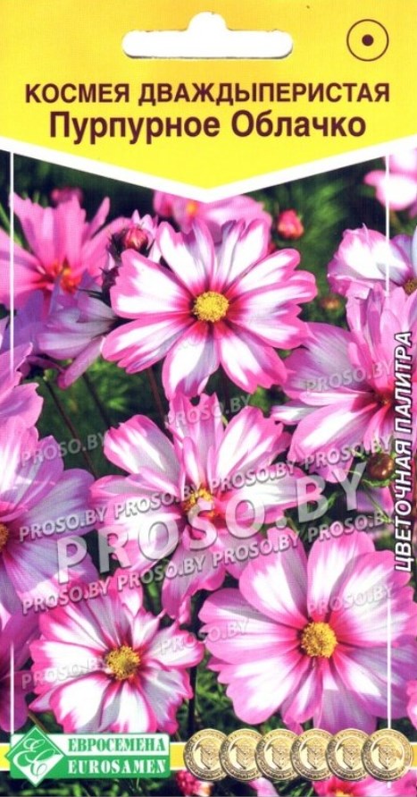 Космея_Пурпурное Облачко (Цветочная Палитра)_0,04_г._ЕВРОСЕМЕНА