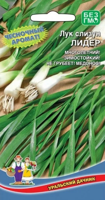 Лук_Лидер (слизун многолетний)_0,3_г._Уральский Дачник