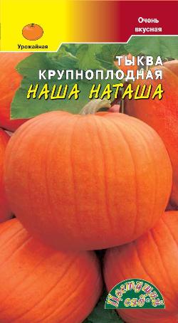 Тыква_Наша Наташа_1_г._Цветущий Сад
