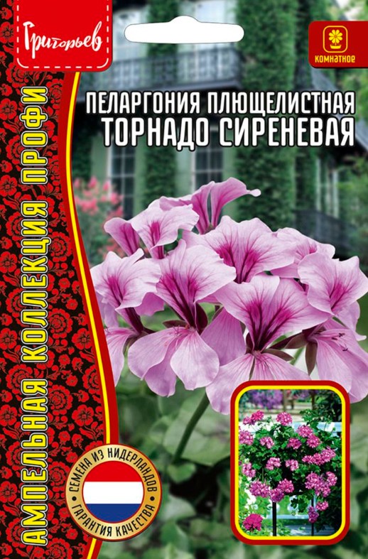 Герань (Пеларгония)_Торнадо Сиреневая (плющелистная) б/ф_3_шт._Григорьев