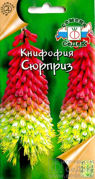 Тритома (книфофия)_Сюрприз_0,2_г._Седек