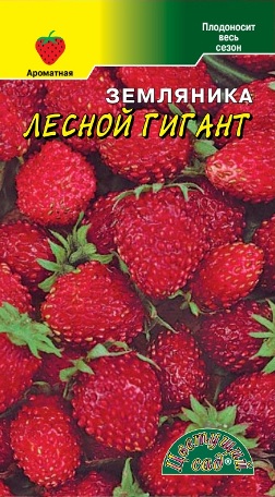 Земляника_Лесной Гигант_0_г._Цветущий Сад