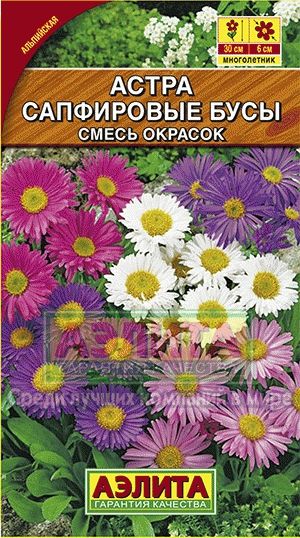 Астра_Альпийская Сапфировые бусы см (многолет)_0,1_г._Аэлита