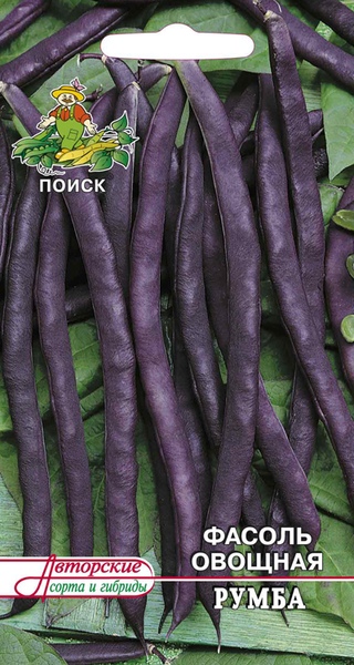 Фасоль_Румба (вьющ фиолет)_20_шт._Поиск
