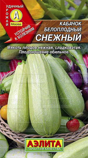 Кабачок_Снежный_2_г._Аэлита