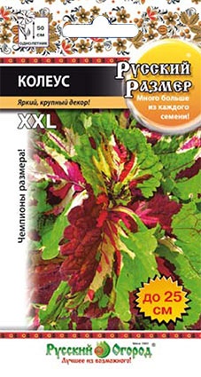 Колеус_Русский размер_4_шт._НК