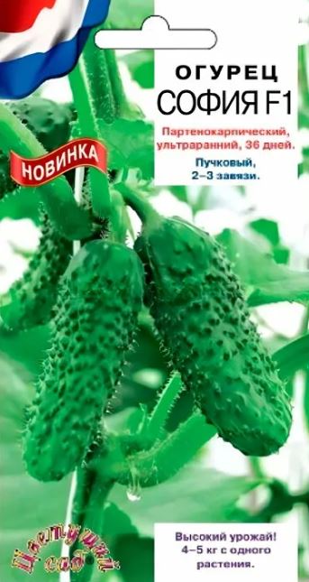 Огурец_София F1_0,04_г._Цветущий Сад