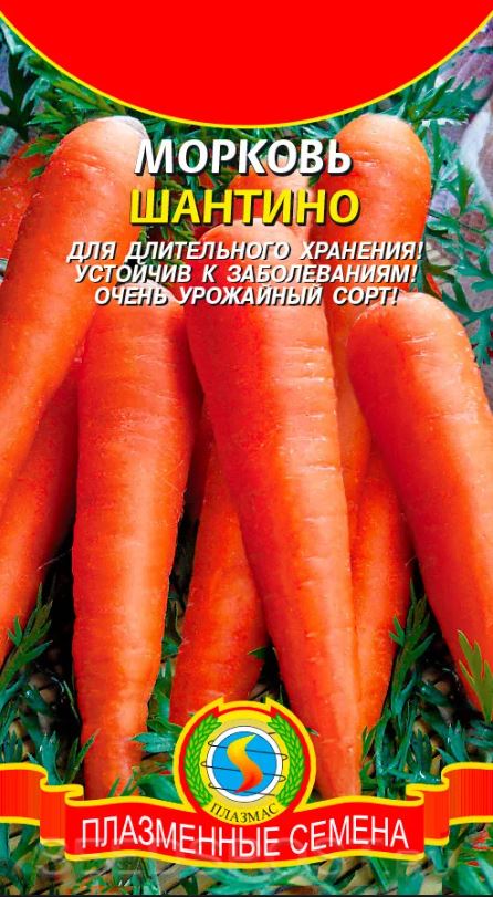 Морковь_Шантино_0,04_г._Плазменные семена