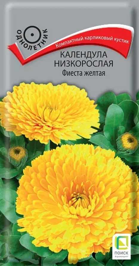 Календула (ноготки)_Фиеста Жёлтая (низкорослая)_0,04_г._Поиск