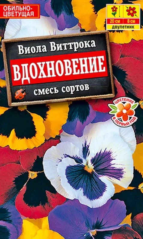 Виола (анютины глазки)_Вдохновение_7_шт._Акварель