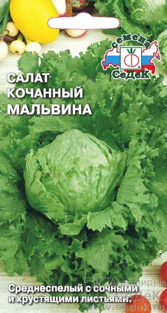 Салат_Мальвина (Айсберг) (кочан)_0,5_г._Седек
