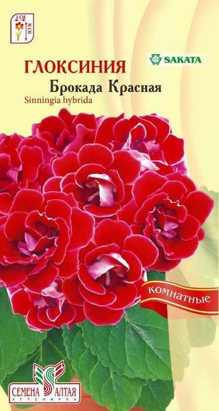 Глоксиния_Брокада Красная (Sakata) (махр)_8_шт._Семена Алтая