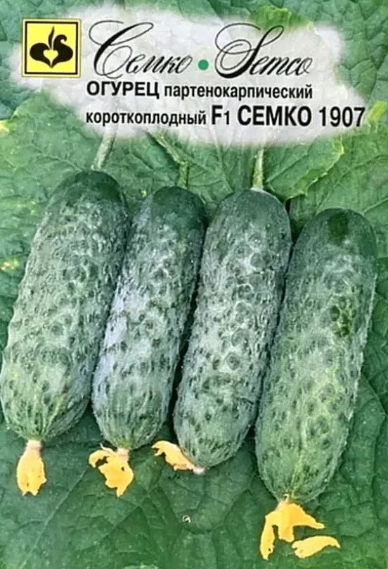Огурец_Семко 1907 F1 (10 семян) 24 год._0,04_шт._Семко