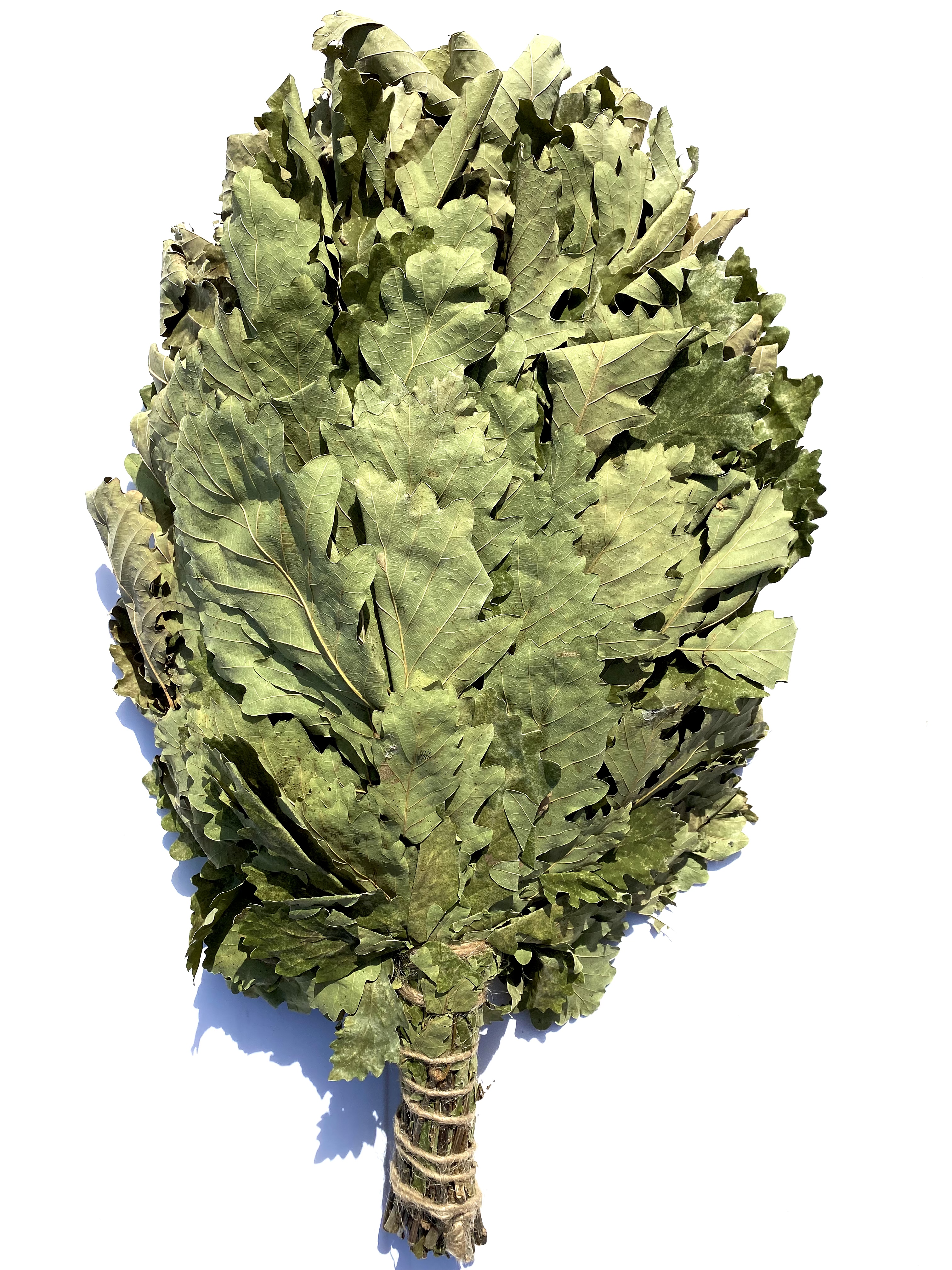 Веник дубовый ПРОМО