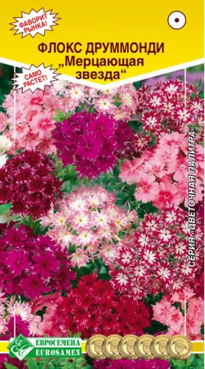 Флокс_Мерцающая звезда см (Цветочная Палитра)_0,04_шт._ЕВРОСЕМЕНА