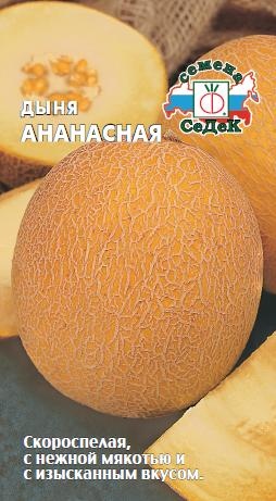 Дыня_Ананасная ср/ран_0,5_г._Седек