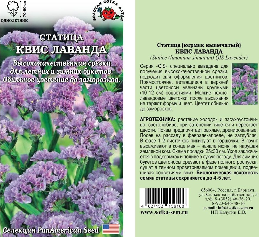 Статица (лимониум)_Квис Лаванда_10_шт._Золотая Сотка Алтая
