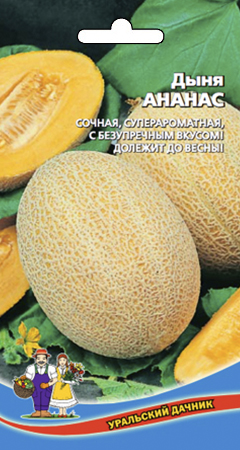 Дыня_Ананас_10_шт._Уральский Дачник