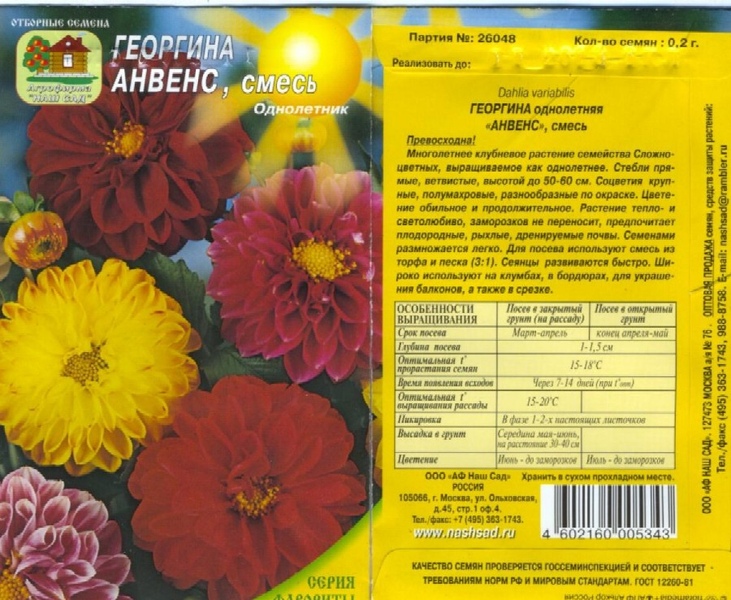 Георгин_Анвенс махр см_0,2_г._Наш Сад