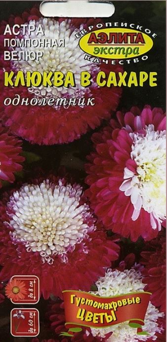 Астра_Велюр Клюква в сахаре (помпонная)_0,1_г._Аэлита Э