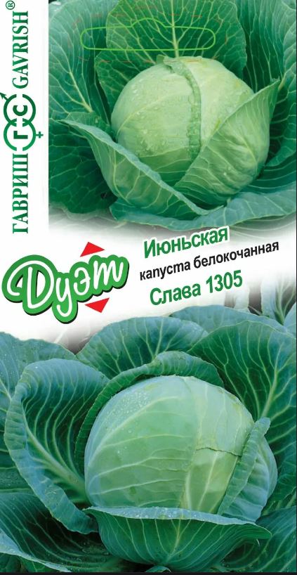Капуста_б/к_Дуэт Июньская + Слава1305_0,04_г._Гавриш