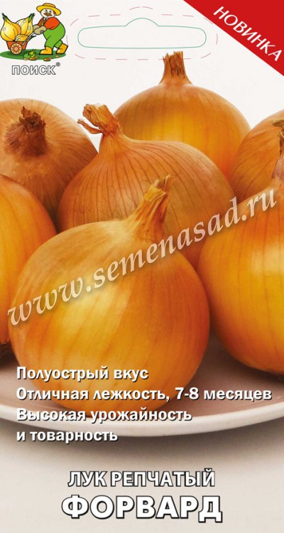 Лук_Форвард (на репку)_1_г._Поиск