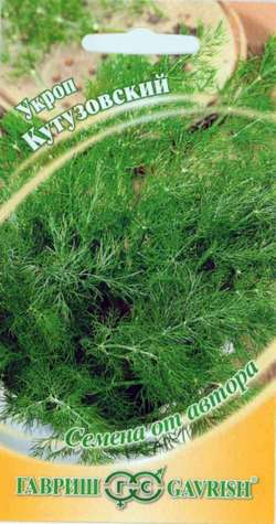 Укроп_Кутузовский_2_г._Гавриш