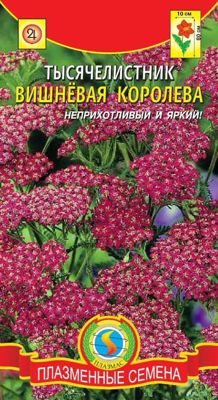 Ахиллея (тысячелистник)_Вишневая королева_0,04_г._Плазменные семена