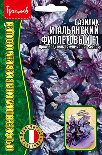 Базилик_Итальянский (фиолетовый) б/ф_0,2_г._Григорьев