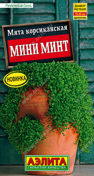 Мята_Мини Минт_3_шт._Аэлита