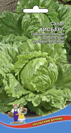 Салат_Айсберг (кочан)_0,3_г._Уральский Дачник