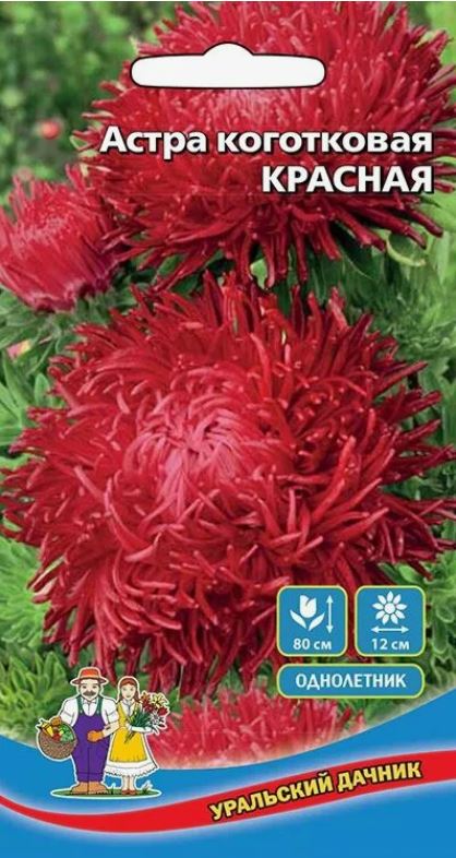 Астра_Красная (коготковая)_0,2_г._Уральский Дачник