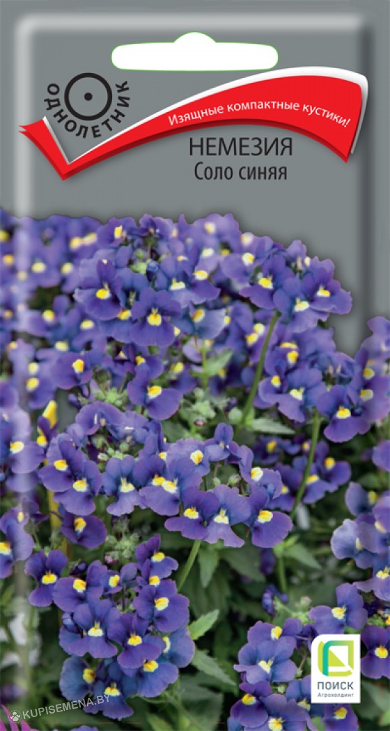 Немезия_Соло Синяя_0,1_г._Поиск