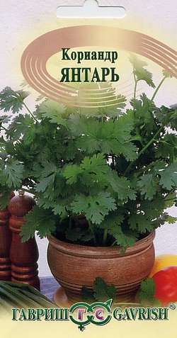Кориандр (кинза)_Янтарь_2_г._Гавриш