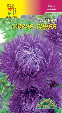 Астра_Глория синяя (хризантемовидная)_0,2_г._Цветущий Сад
