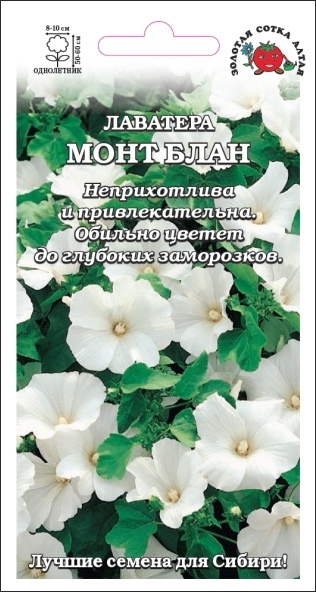 Лаватера (хатьма)_Белая Монт Блан_0,5_г._Золотая Сотка Алтая