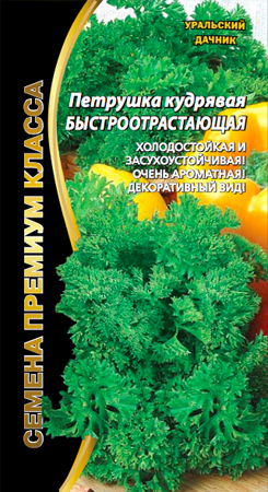 Петрушка_Быстроотрастающая кудрявая_2_г._Уральский Дачник