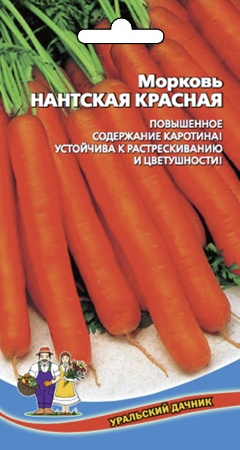 Морковь_Нантская красная_2_г._Уральский Дачник