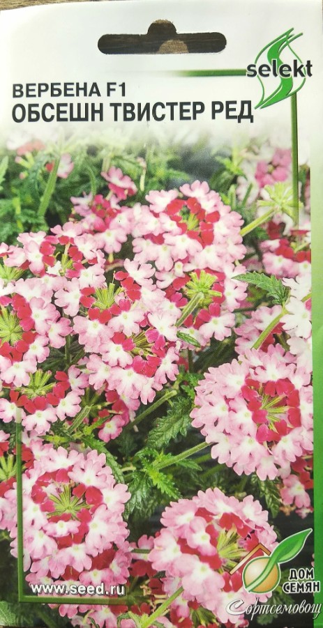 Вербена_Обсешн F1 Твистер Ред_6_шт._Дом Семян С-П