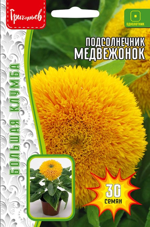 Подсолнечник декоративный_Медвежонок ВП б/ф (махр) б/ф_1_г._Григорьев