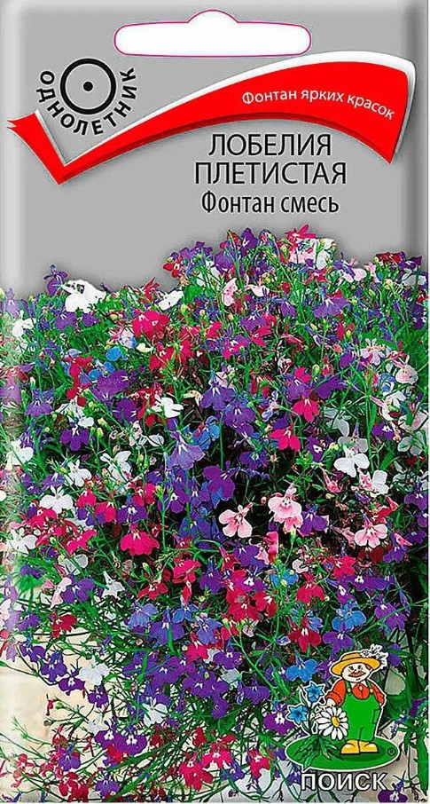 Лобелия_Фонтан см_0,1_г._Поиск