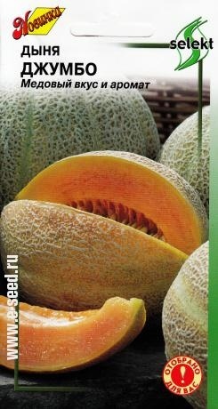 Дыня_Джумбо_10_шт._Дом Семян С-П