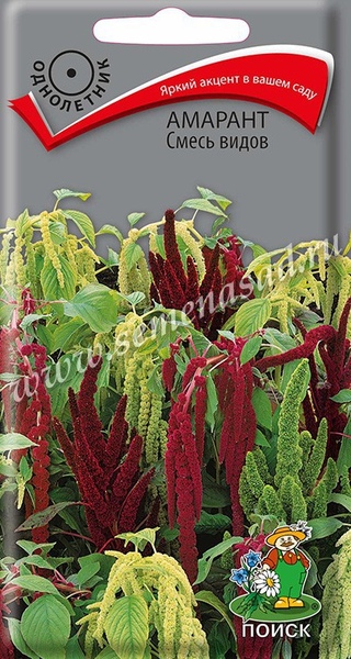 Амарант_смесь видов_0,2_г._Поиск