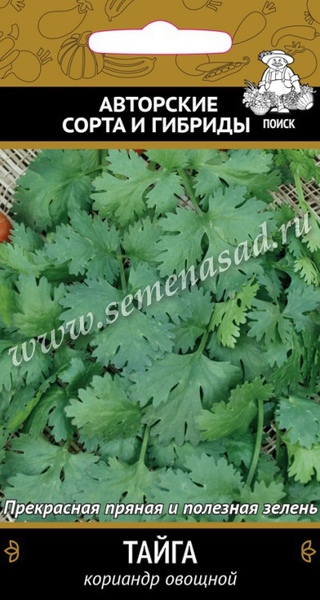 Кориандр (кинза)_Тайга_3_г._Поиск